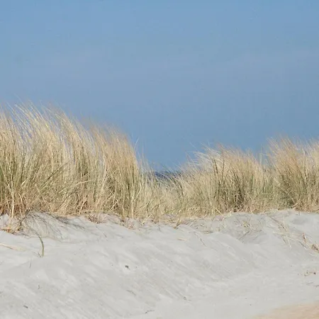 Beautiful In Robertsdorf With Garden