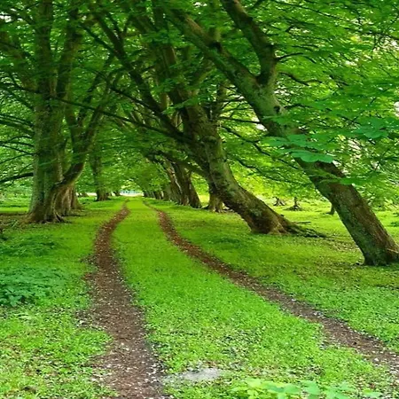 Beautiful In Robertsdorf With Garden *