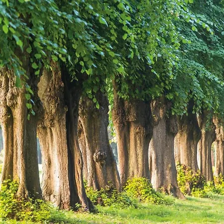 Beautiful In Robertsdorf With Garden * Blowatz