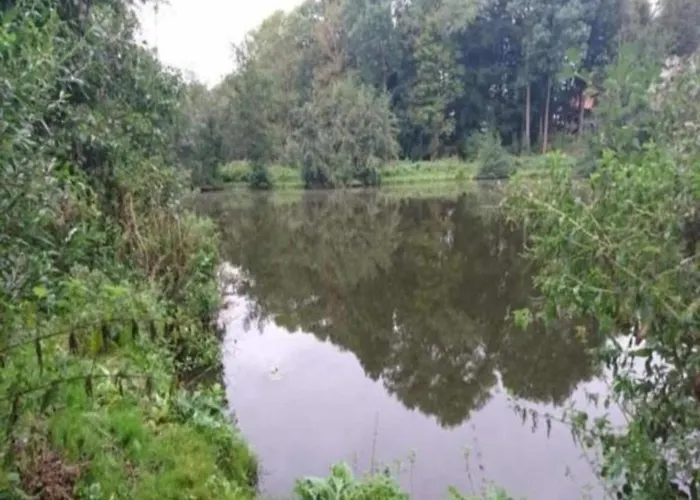 Beautiful In Robertsdorf With Garden * Blowatz