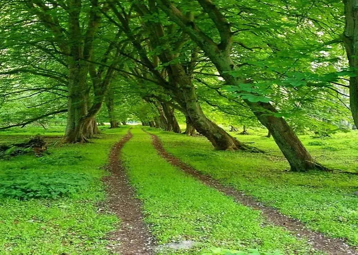 Beautiful In Robertsdorf With Garden *