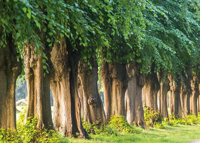 Beautiful In Robertsdorf With Garden * Blowatz
